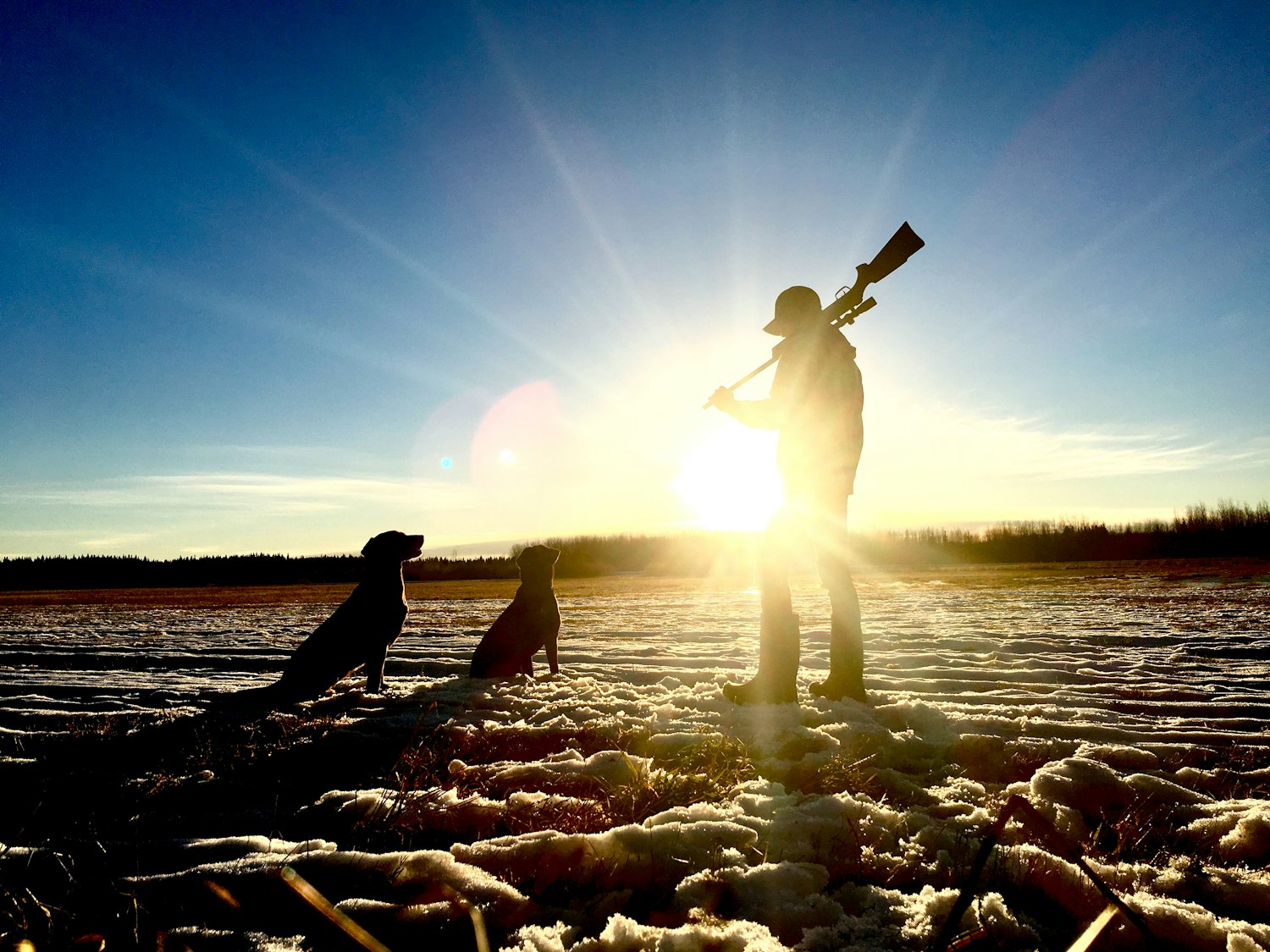 A hunter and two dogs silhouetted against a sunrise