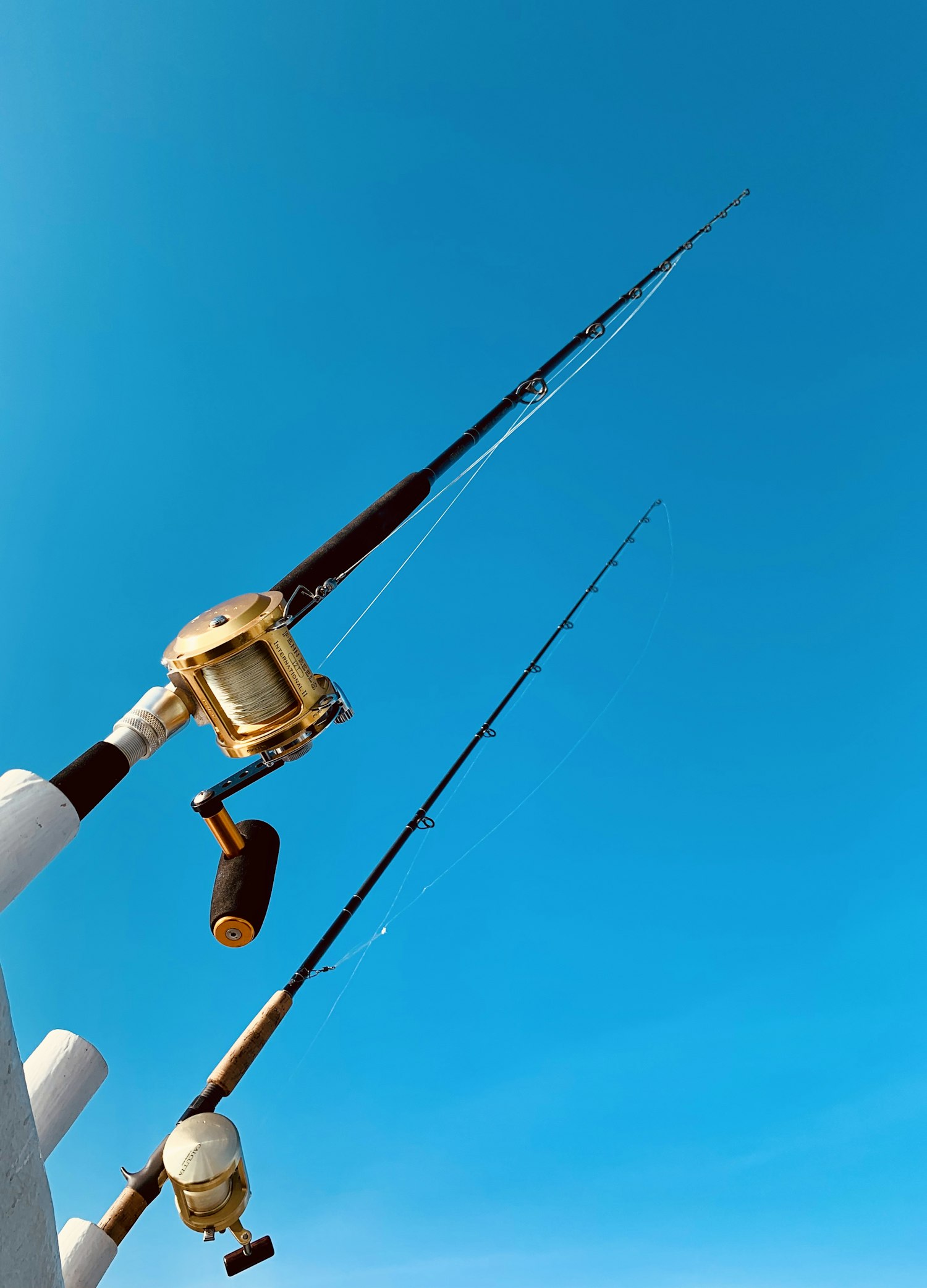 Two offshore rods with gold reels against a blue sky